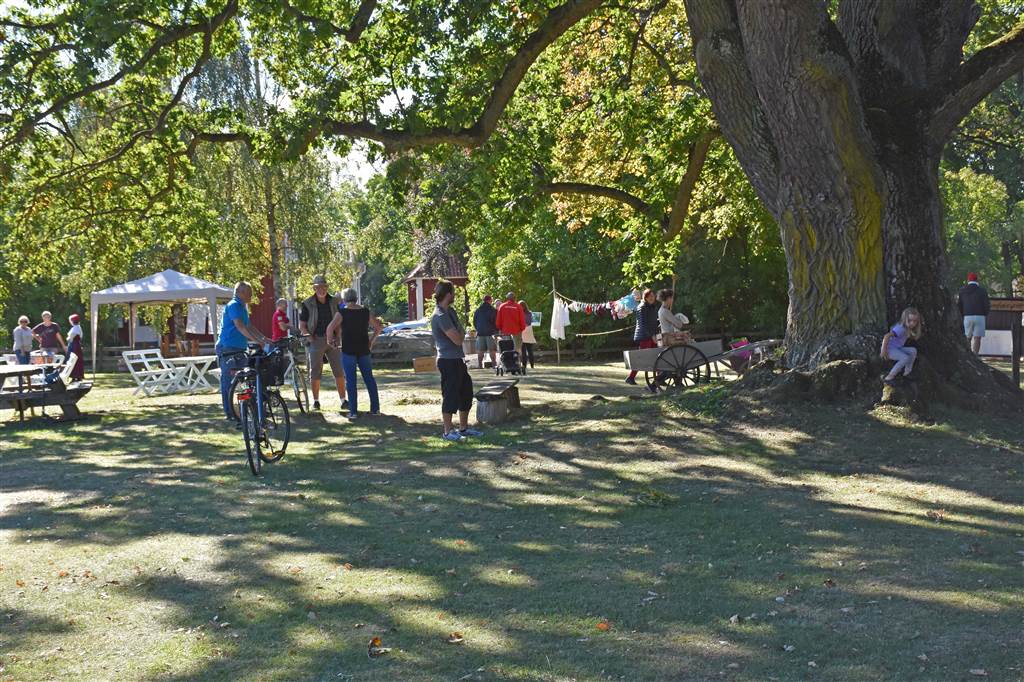 I hembygdsparken under eken hade vi en strid ström av besökare båda dagarna
